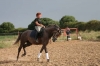 Arbeit mit Pferd Arbeit mit Pferd